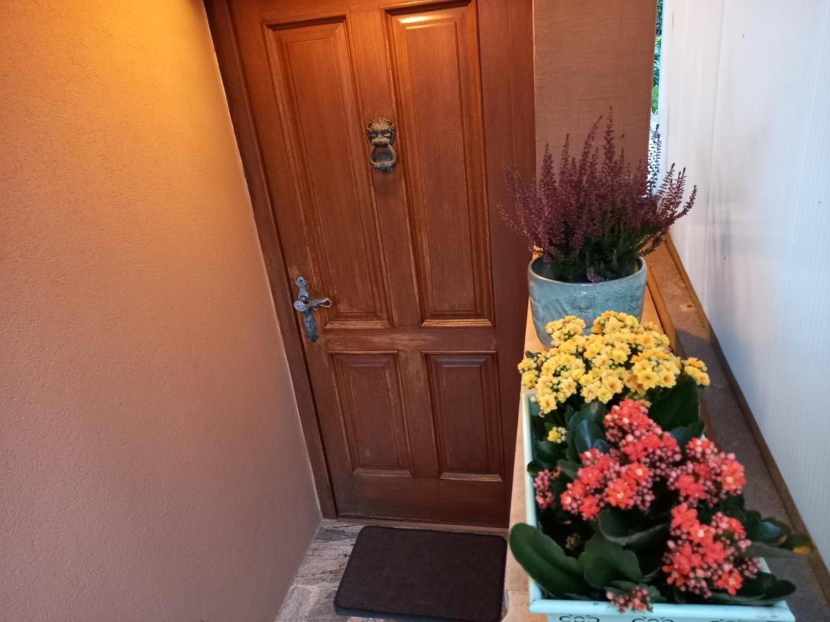 Appartement Blue Deer à Umag Extérieur photo
