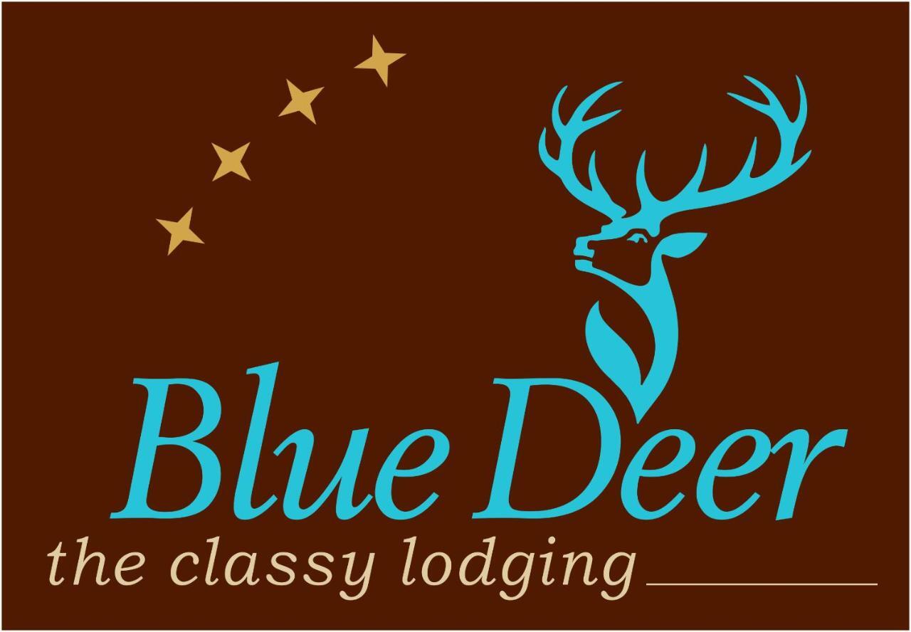 Appartement Blue Deer à Umag Extérieur photo